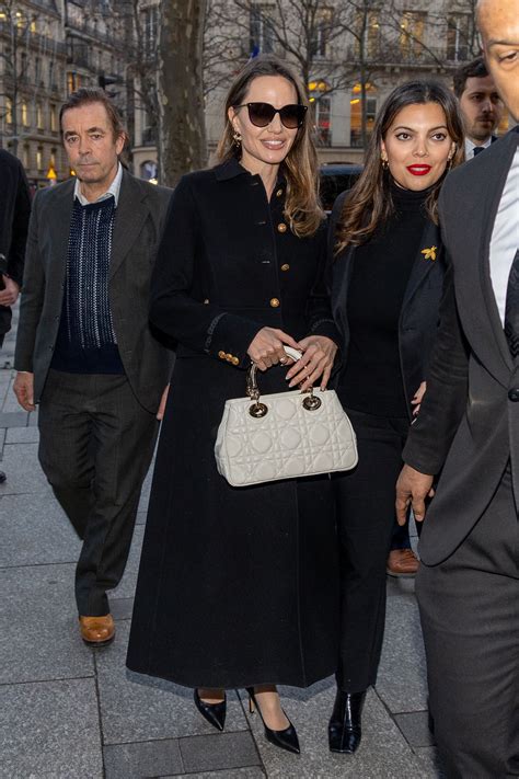 lady dior bag celebrity|angelina jolie Dior bag.